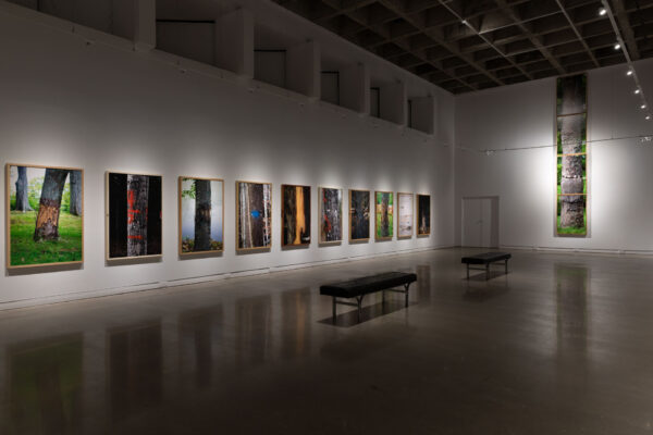Collective: Miranda Bellamy & Amanda Fauteux, Installation view,  MSVU Art Gallery 2024