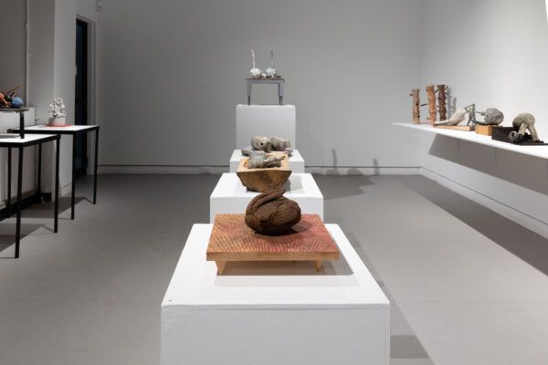Susan Low-Beer: Specimen. Installation view, MSVU Art Gallery, 2024
